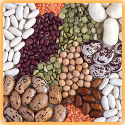 legumes