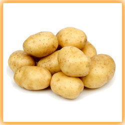 Patates