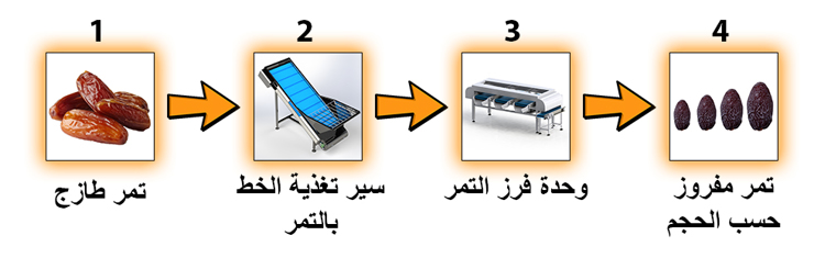 مخطط العمل – خط فرز التمور حسب الحجم