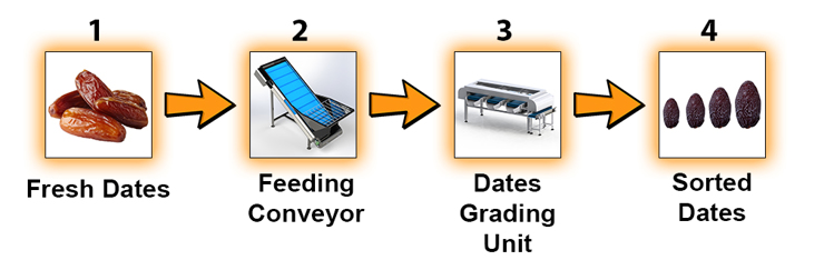 Flowchart - Dates Grading and Sorting Line