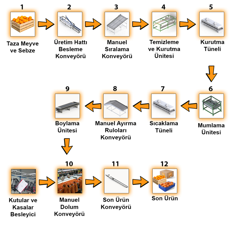 akış şeması - Meyve İşleme Hattı (Yıkama-Mumlama-Boylama)