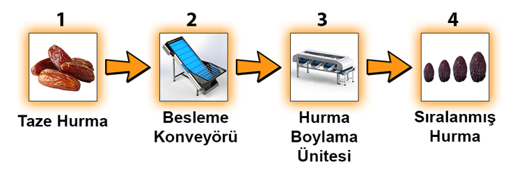 Akış Şeması- Hurma Boylama Hattı