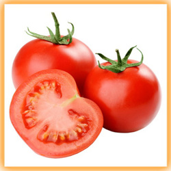 Tomato